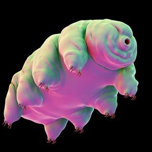 Meet your Posher, Jv